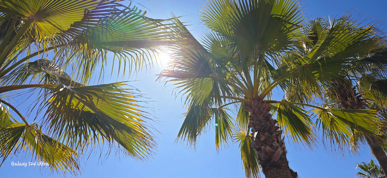 Gartenanlage Sentido Trendy Verbena Beach