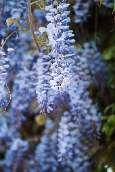 Gartenanlage Beso Beach Hotel