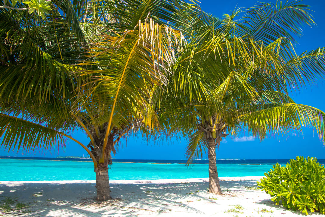 Strand Adaaran Select Meedhupparu Island Resort - Premium All Inclusive