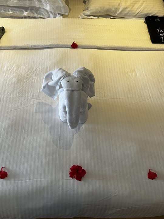 Zimmer Royal Palms Beach Hotel