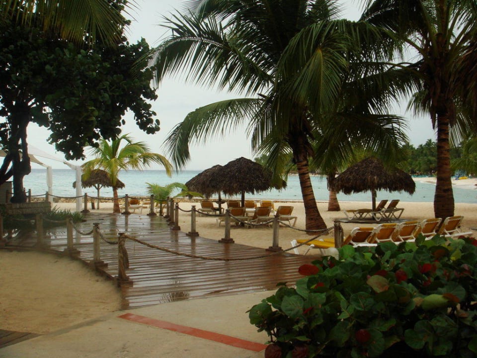 Viva Cafe on the beach Hotel Viva Dominicus Palace by Wyndham-All Inclusive Resort