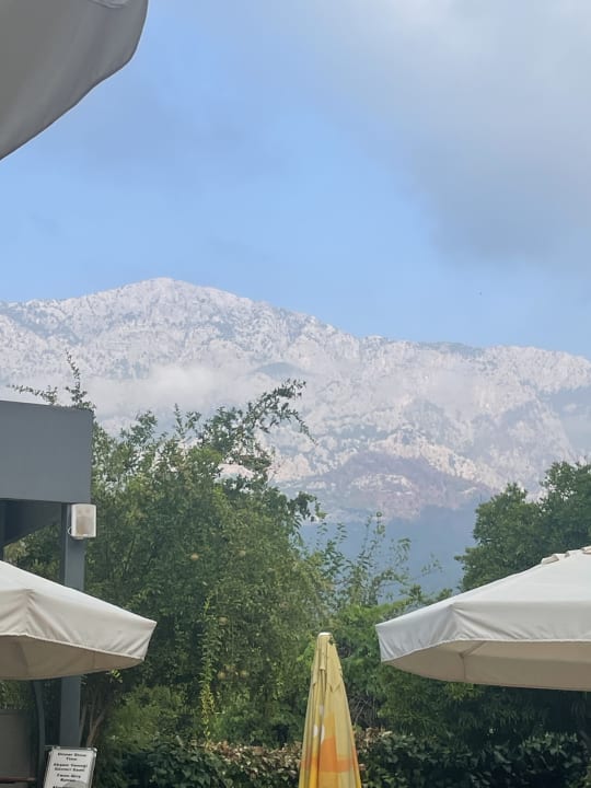 Ausblick Dg Hotels Rose Resort