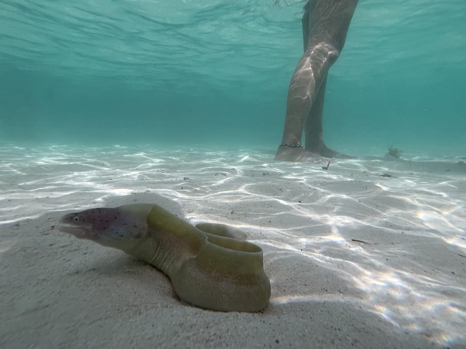 Strand Cleopatra Luxury Resort Makadi Bay
