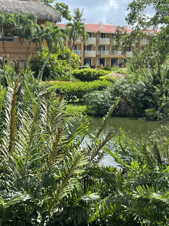 Gartenanlage Hotel Viva Dominicus Palace by Wyndham-All Inclusive Resort