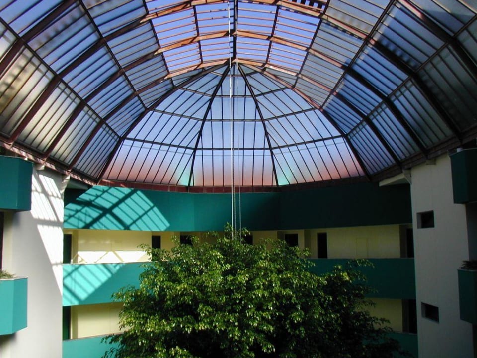 Hotelhalle mit Riesenficus Hotel Miramare Beach