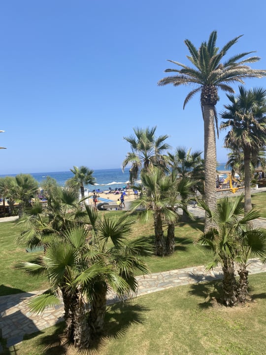 Gartenanlage Calimera Sirens Beach