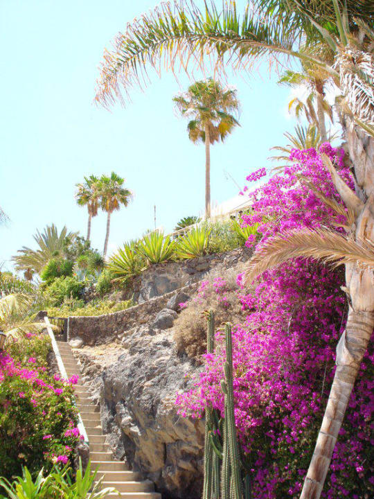 Küstenweg Servatur Alameda de Jandía