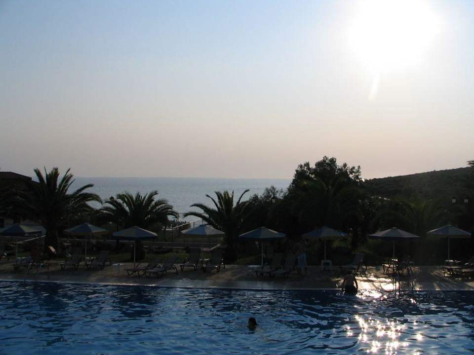 Pool Blue Dolphin Resort Hotel