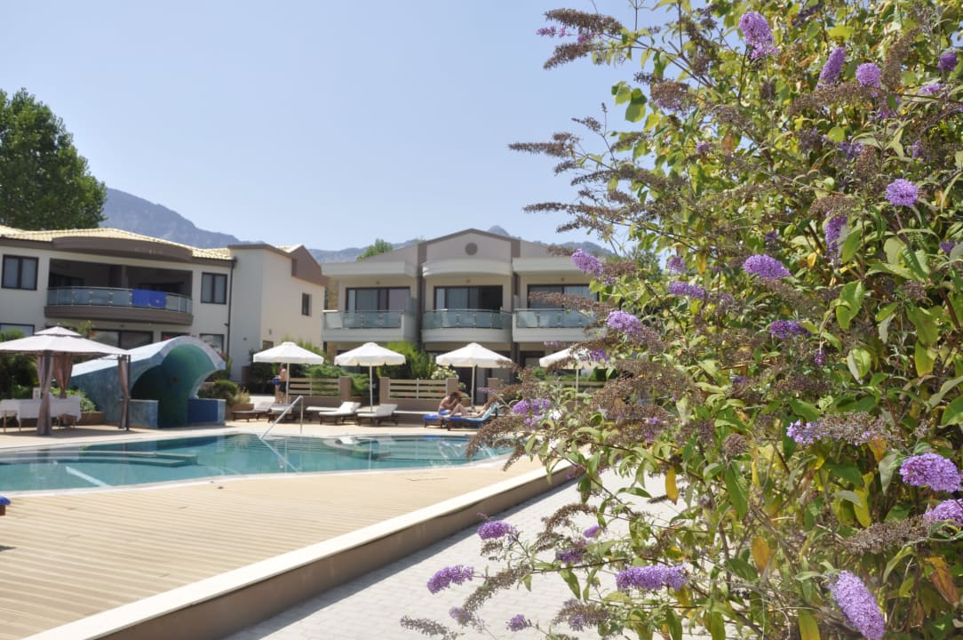 Pool 2 Alexandra Golden Boutique - Adults only