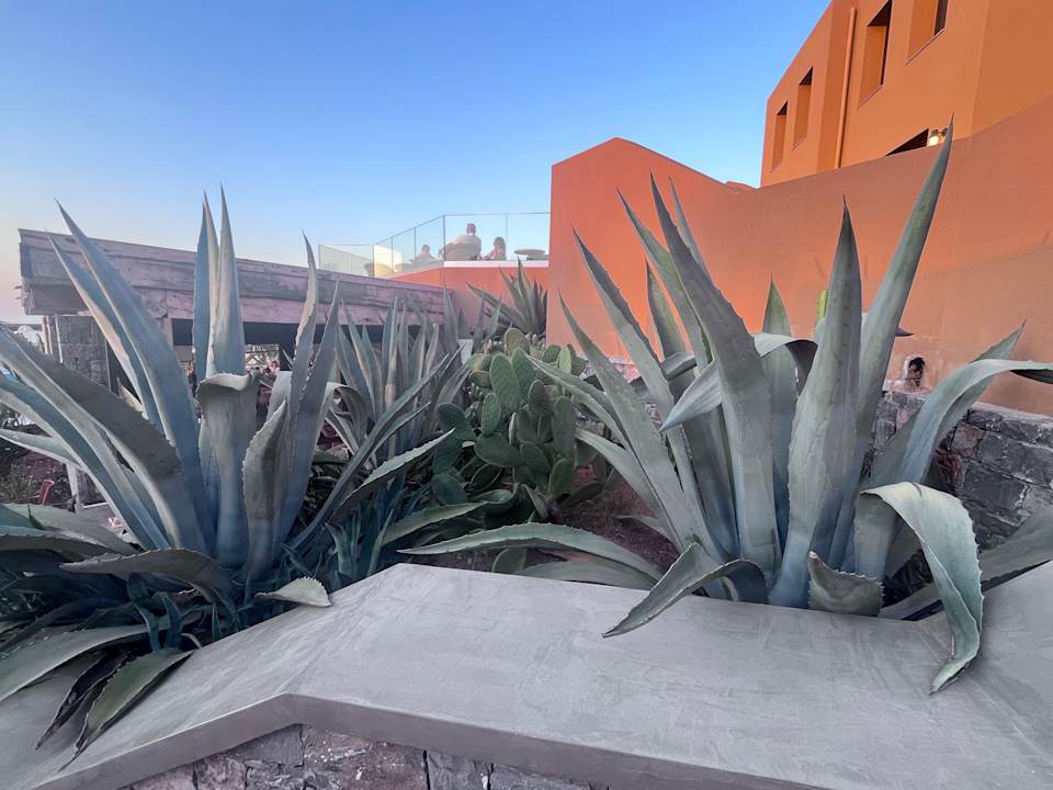 Gartenanlage Calimera Sirens Beach