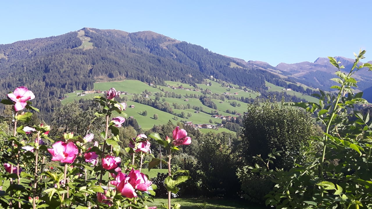 Außenansicht Haus Schmetterling