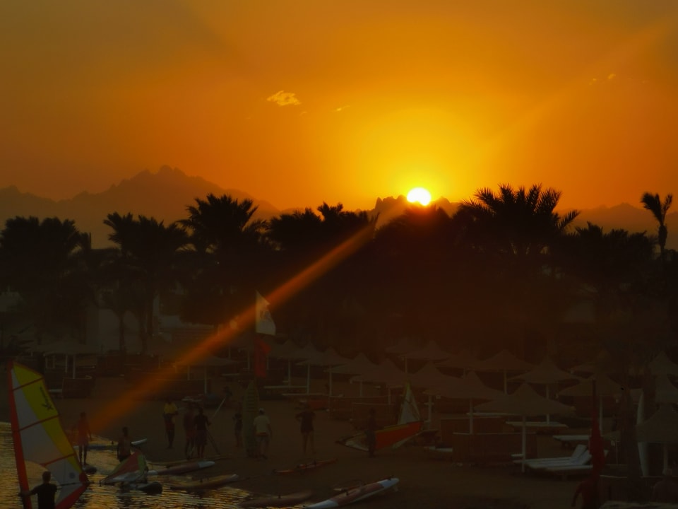 Ausblick Desert Rose