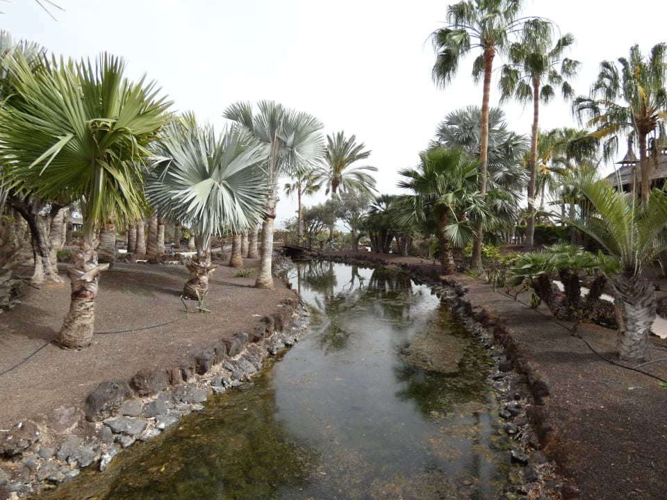 Gartenanlage Sheraton Fuerteventura Golf & Spa Resort