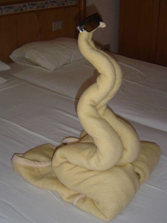 Schlange Pickalbatros Aqua Park Resort - Hurghada