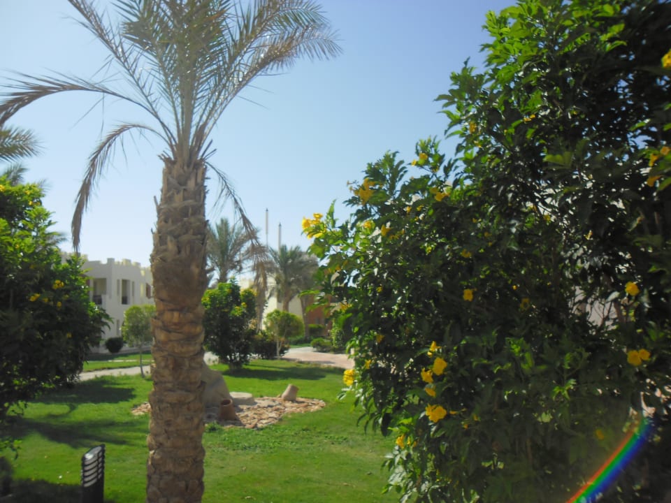 Sunrise Select Royal Makadi Resort SUNRISE Royal Makadi Resort