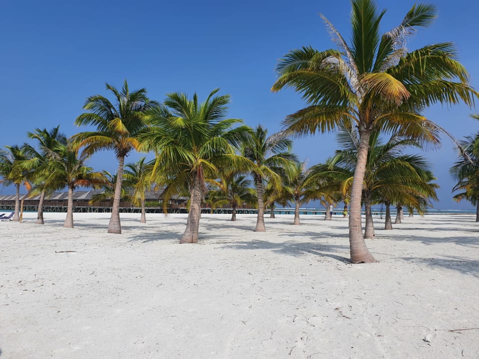 Außenansicht Meeru Maldives Resort Island