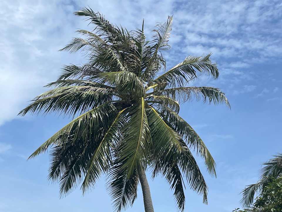 Pool Kuredu Island Resort & Spa