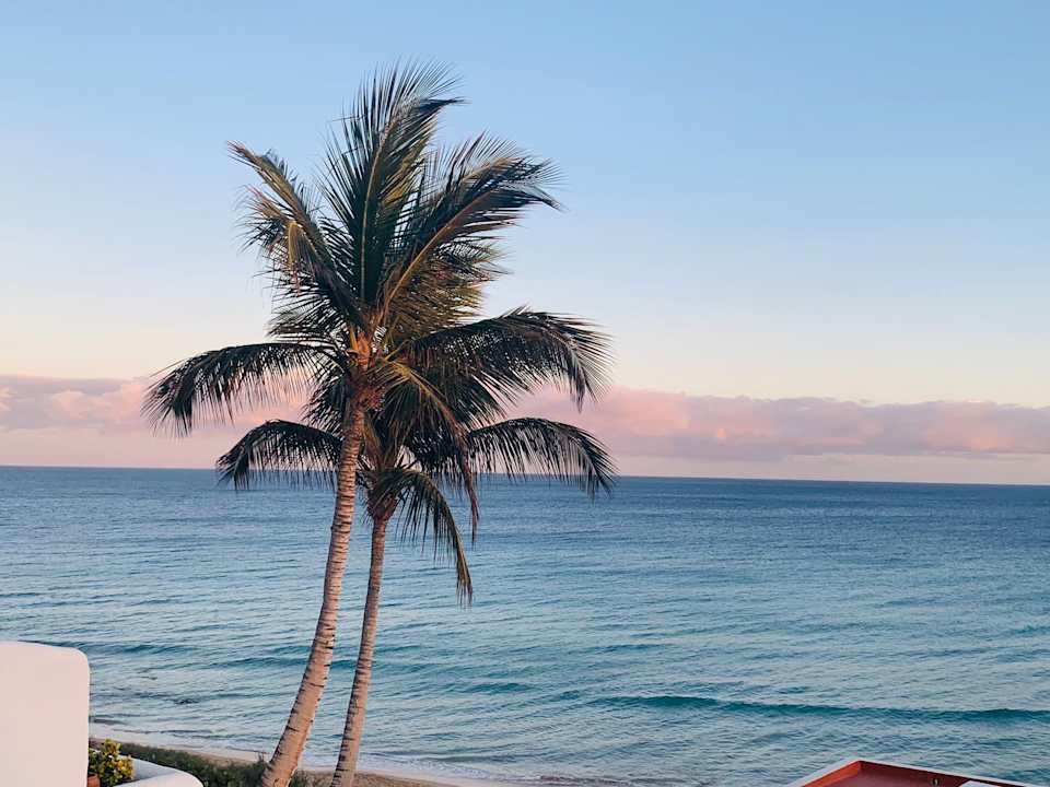 Gartenanlage Aldiana Club Fuerteventura