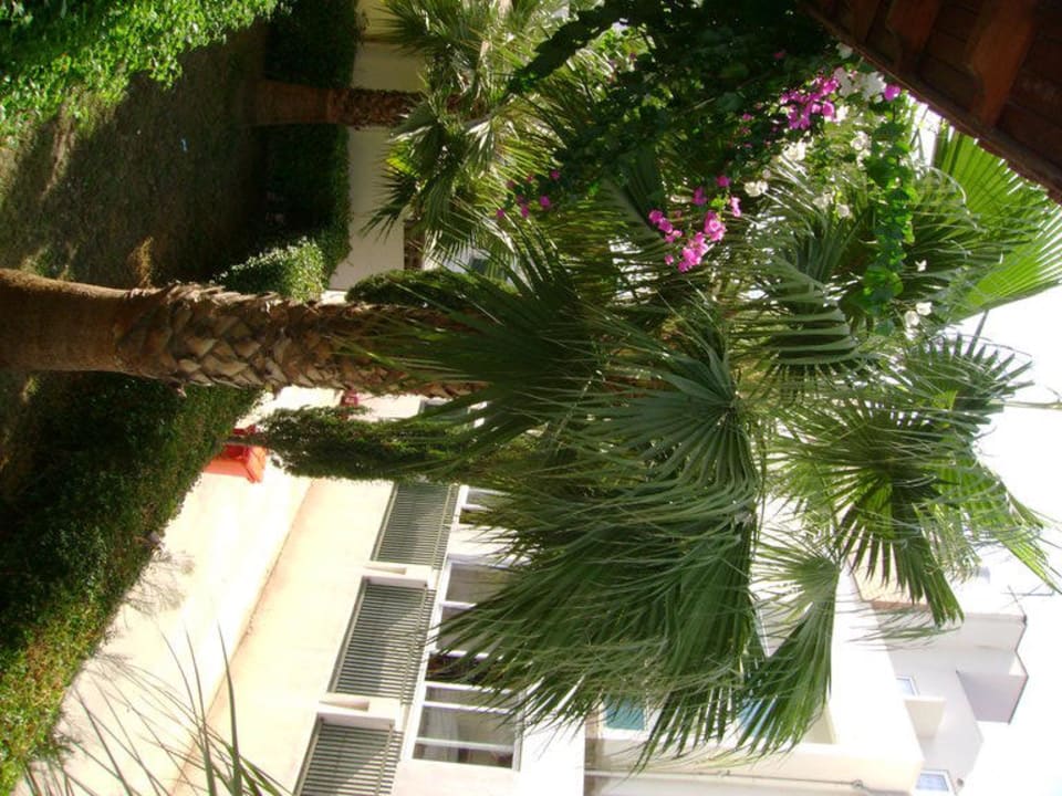 Blick vom Balkon - zum Nachbarhotel Tiana Beach Resort