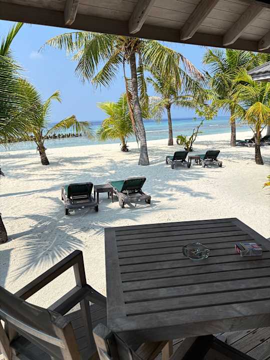 Zimmer Kuredu Island Resort & Spa