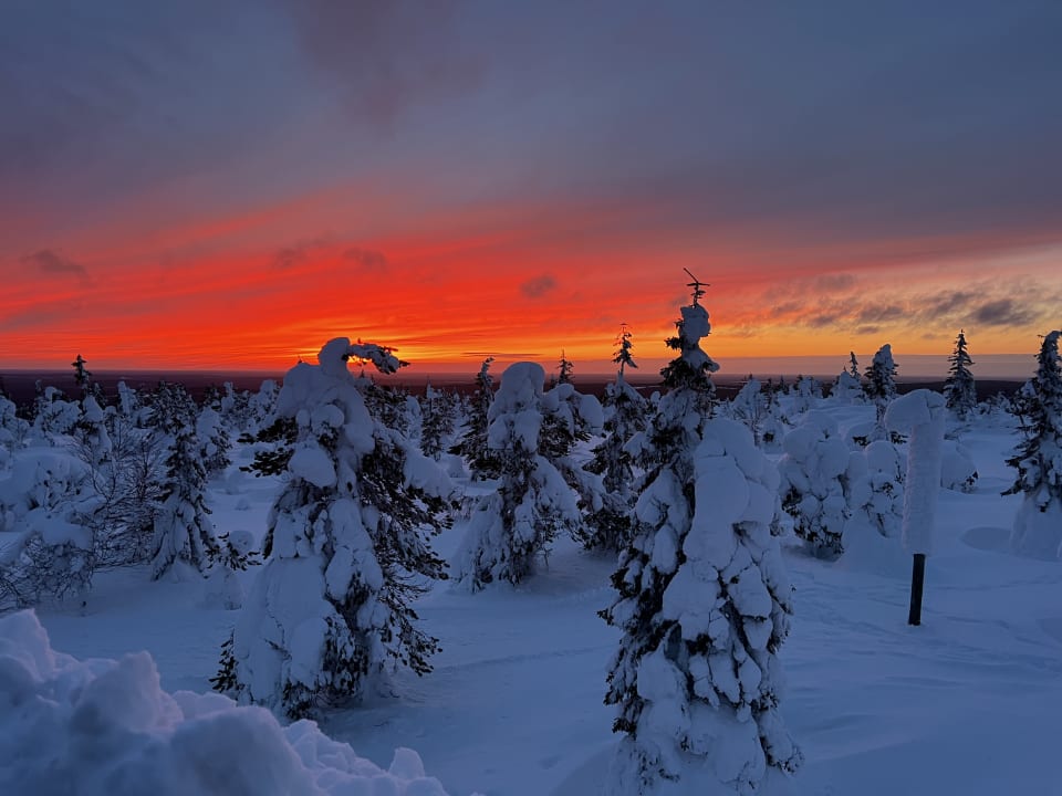 Gartenanlage Hotel Iso Syöte