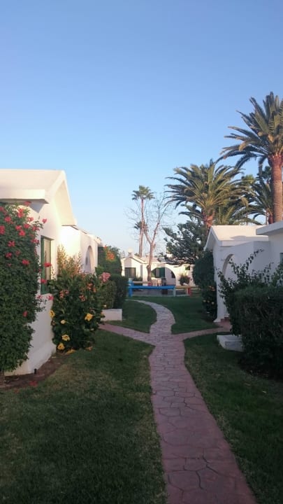 Anlage Canary Garden Club