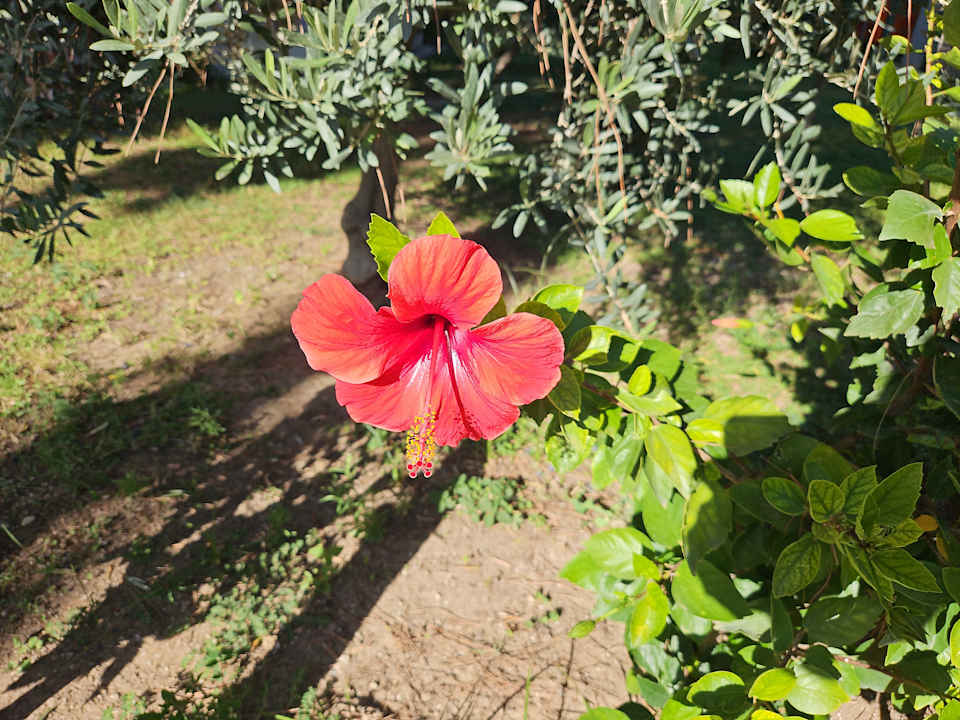 Sonstiges Club Sidelya Hotel