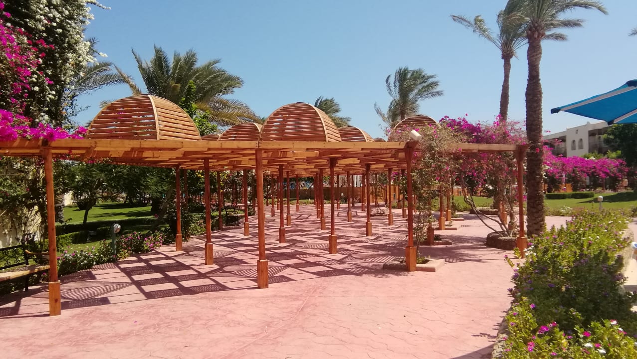 Gartenanlage Desert Rose