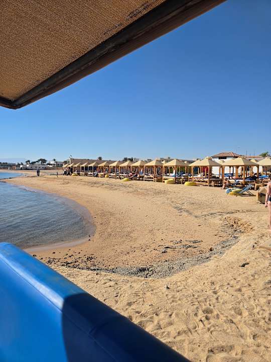 Strand Pickalbatros Palace Resort