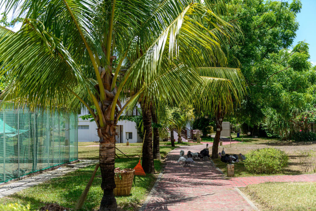 Truthühner Hotel Anhawan Beach Resort & Spa