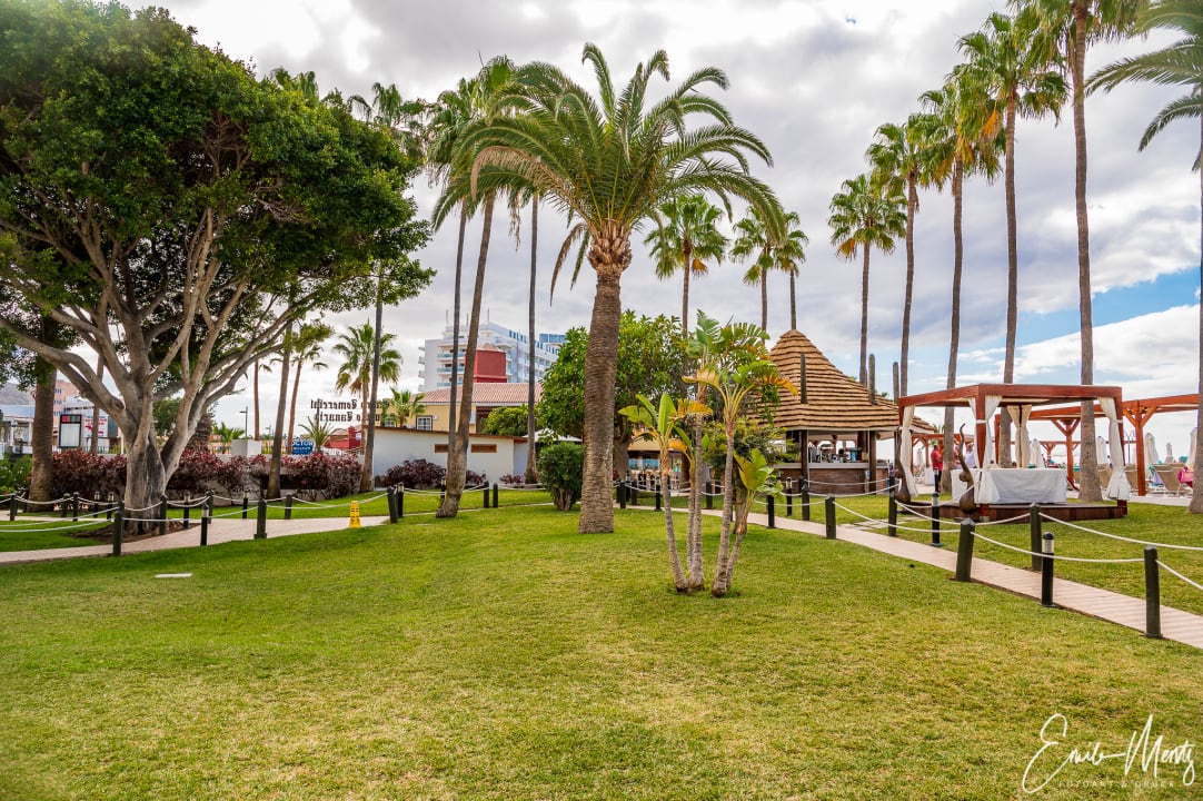Gartenanlage Iberostar Waves Bouganville Playa