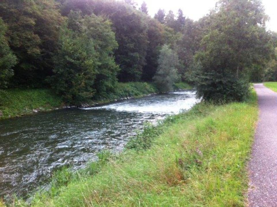 Natur vor dem Hotel Riverside Hotel