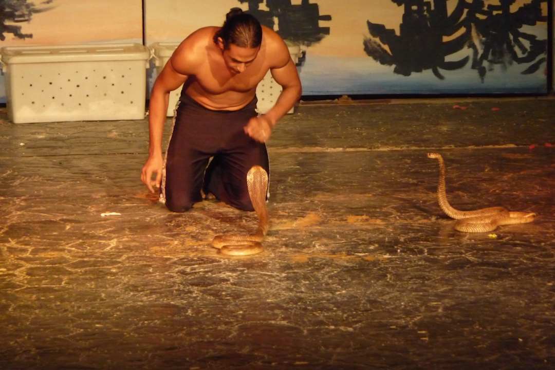 Jeden Tag eine andere Show, einfach Hammer Pickalbatros Alf Leila Wa Leila Resort - Neverland Hurghada