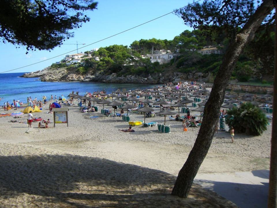 Strand in Hotelnähe Iberostar Waves Pinos Park