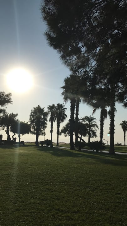 Garten TUI MAGIC LIFE Beldibi +16