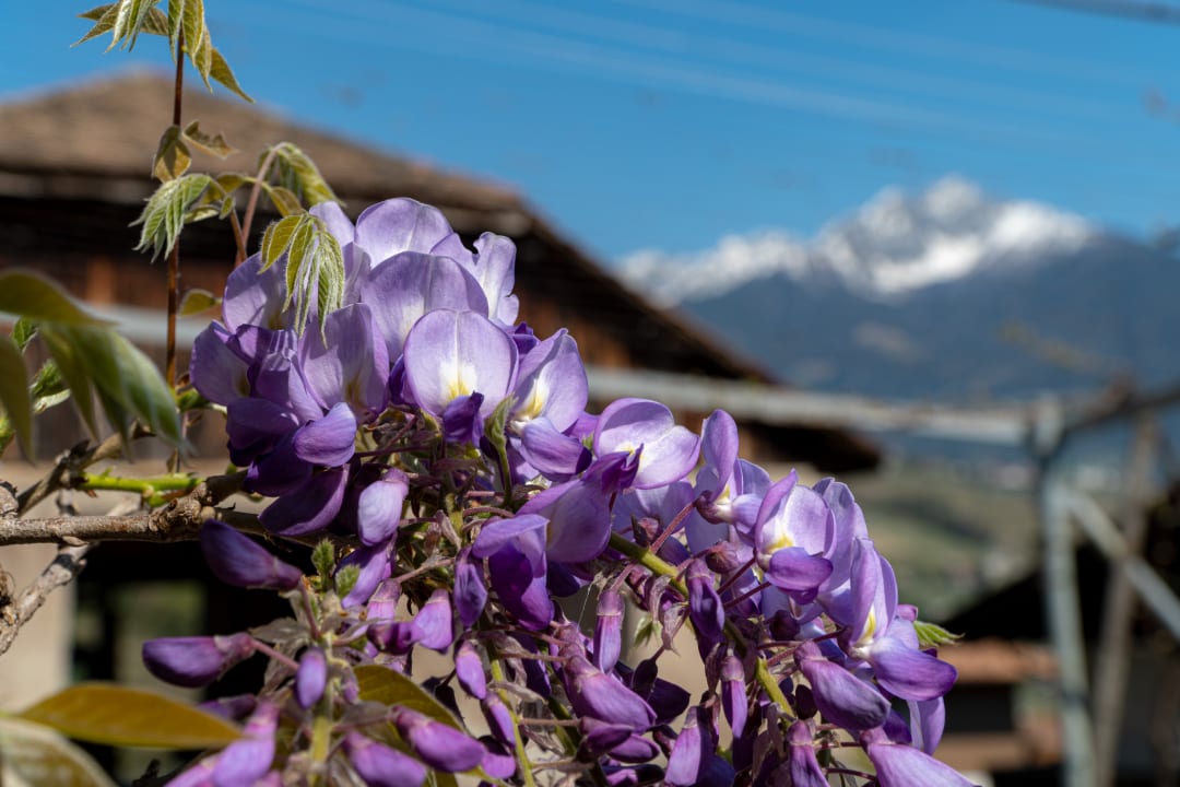 Gartenanlage Bauernhof Huber unterm Baum