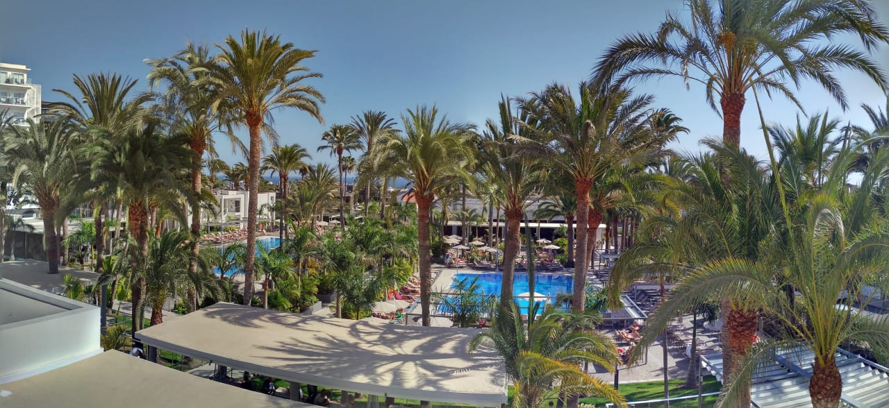 Ausblick Hotel Riu Palace Palmeras