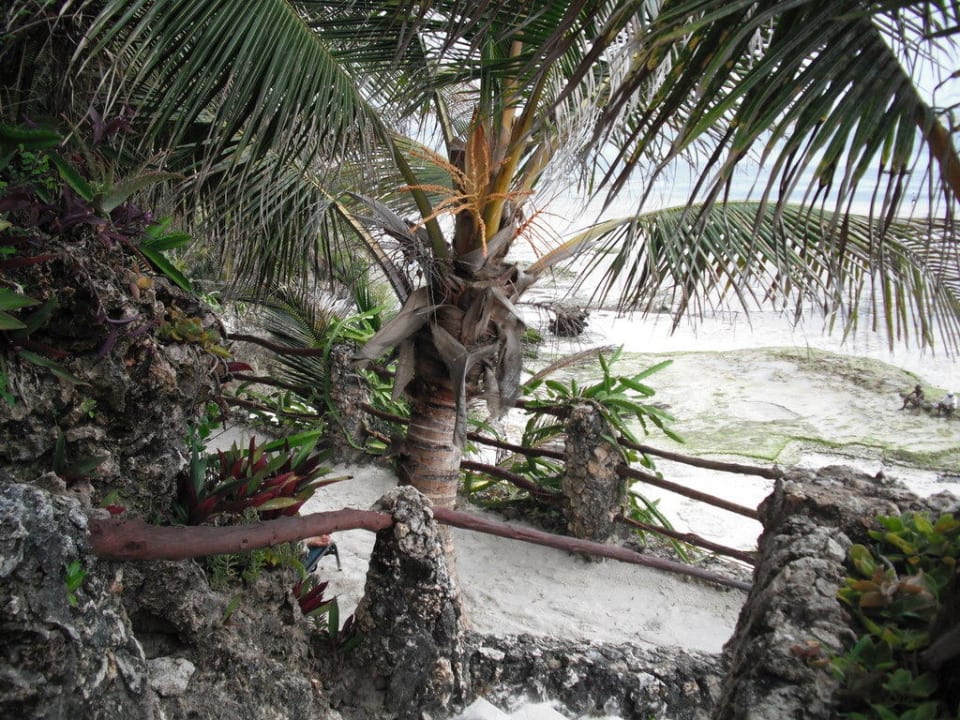Weg zum Strand Bahari Beach Hotel