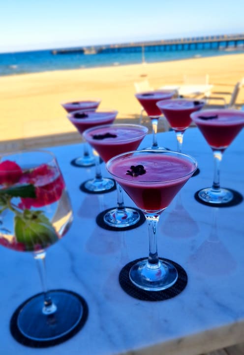 Gastro JAZ Elite Amara