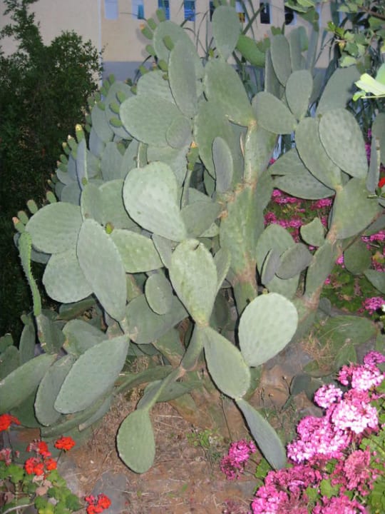 Garten Elounda Residence Resort & Waterpark