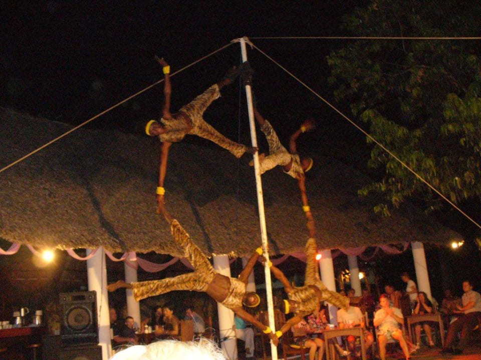 Animation Hotel Traveller's Club