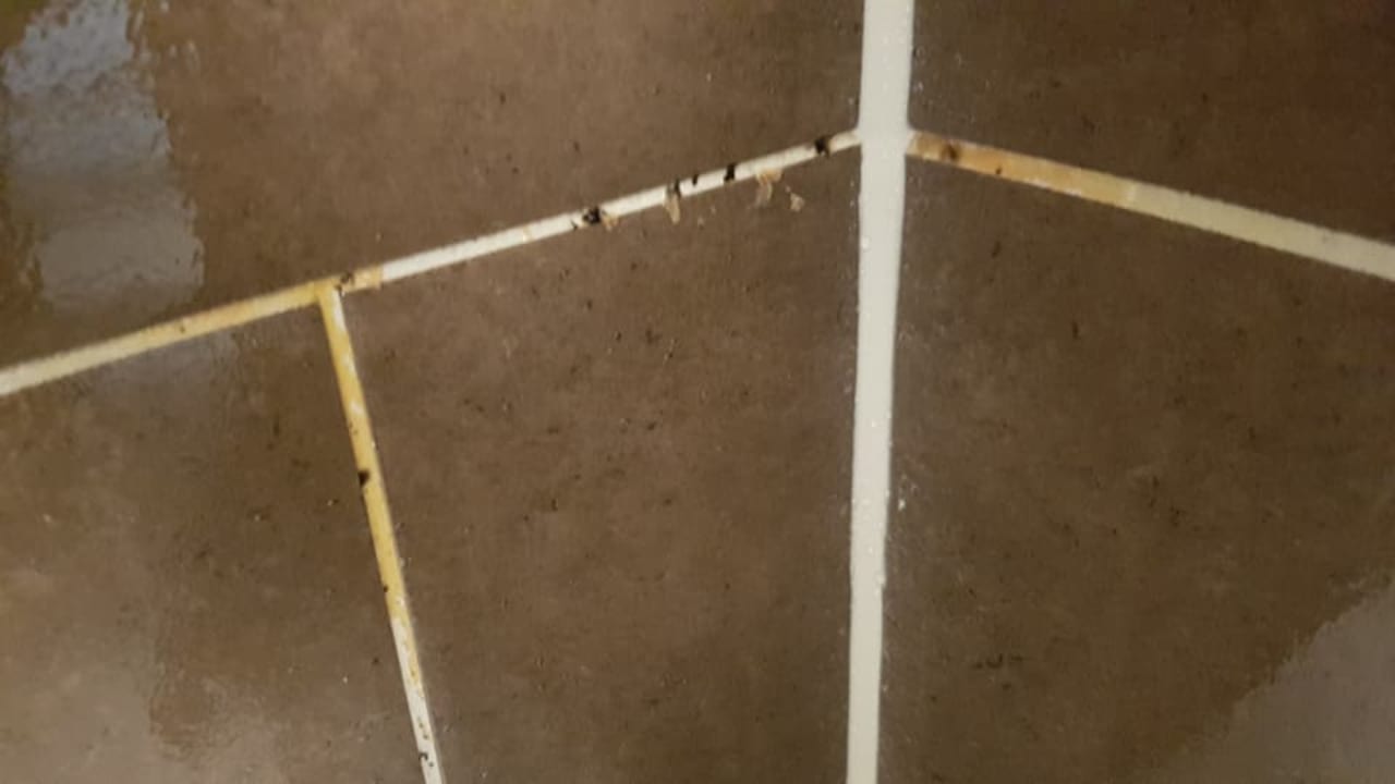 Zimmer Hotel Leo Mühlhausen