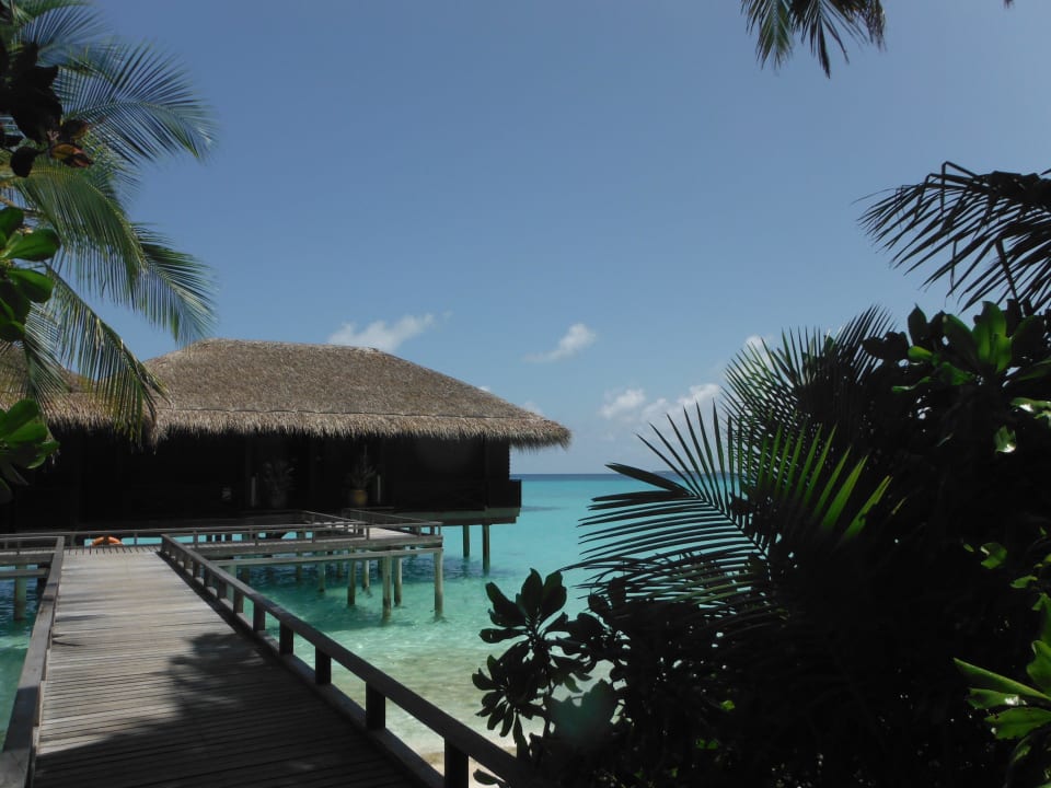 Wasservillen in Lagune Kuramathi Maldives