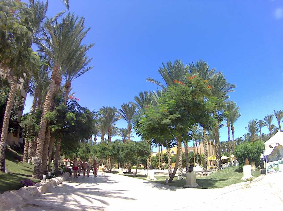 Gartenanlage Makadi Palace