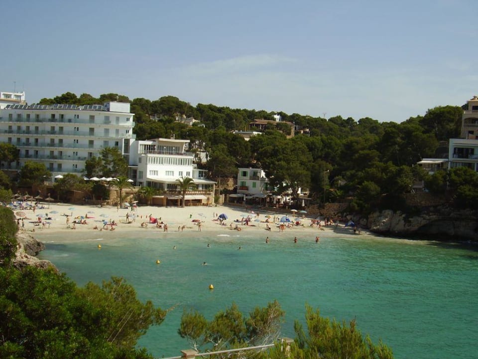 Strandbild / Cala Santanyi Bucht Hotel Pinos Playa