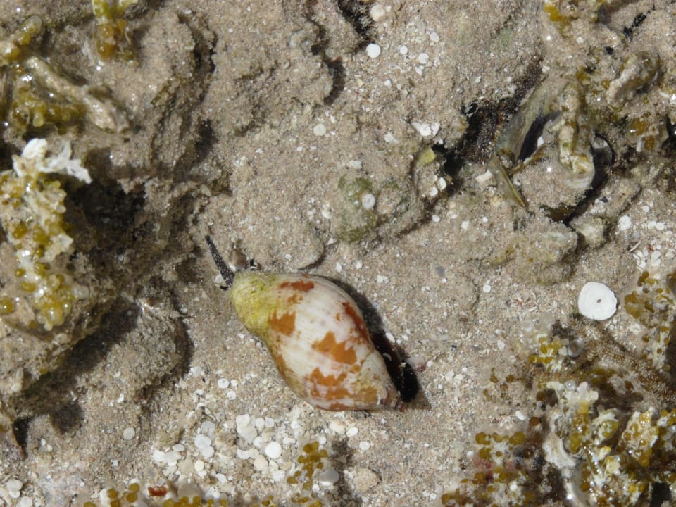 Strand Titanic Beach Spa & Aqua Park