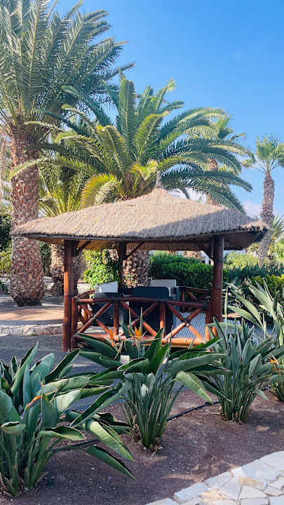 Gartenanlage Marina Playa Suite Hotel