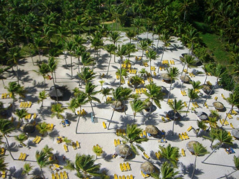 Strand Catalonia Catalonia Royal Bavaro - Adults only