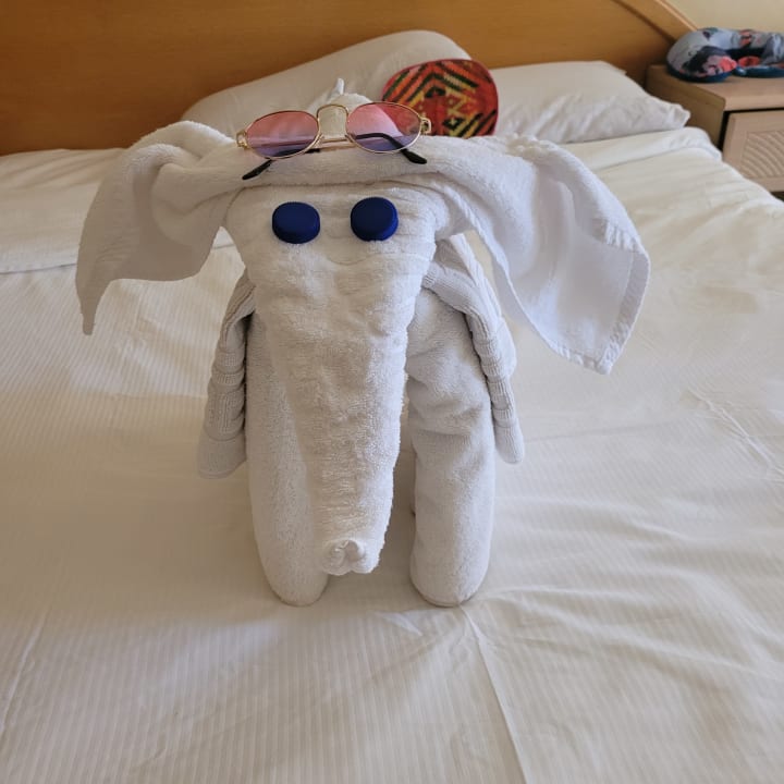 Zimmer Ghazala Gardens