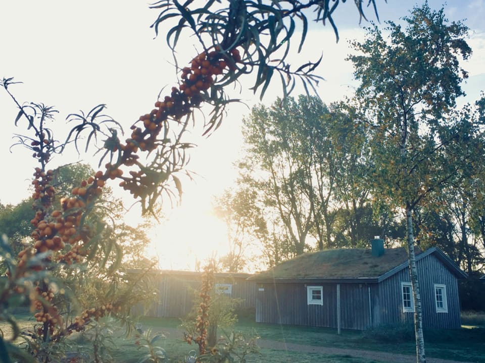 Außenansicht Stranddorf Augustenhof